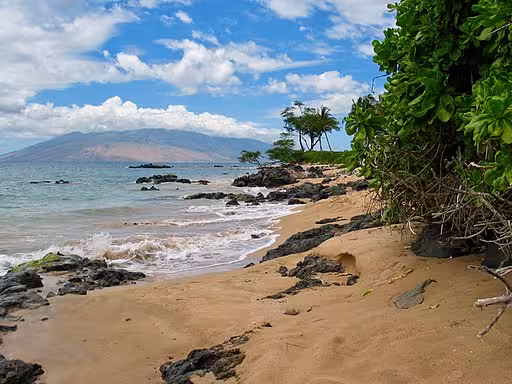 Kihei, HI beach with palm trees and Molokai in the distance.