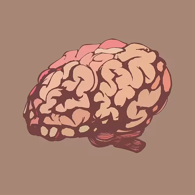 A drawing of a brain for cognitive load.