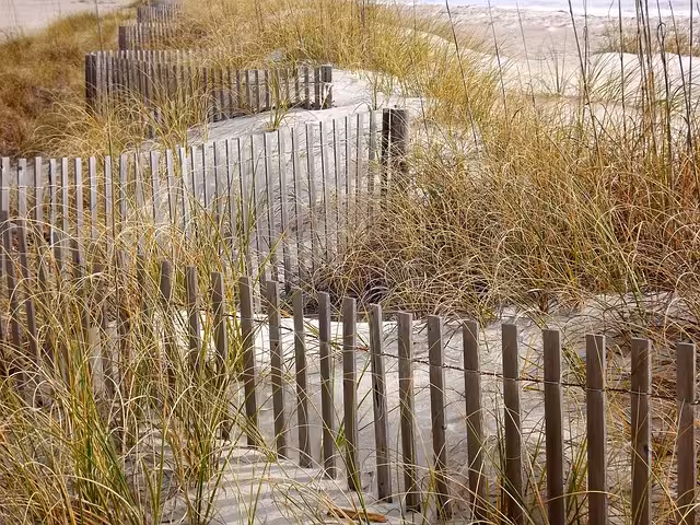 A coastal dune fence to represent a geofence.