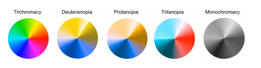 A color blindness wheel showing colors of different conditions.