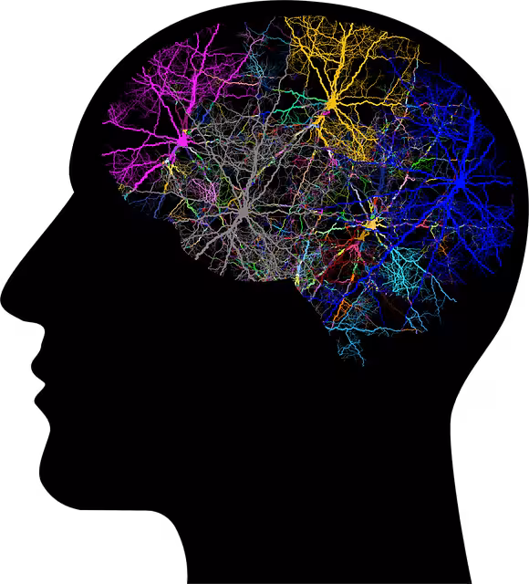 A drawing of a head with many colors in it.