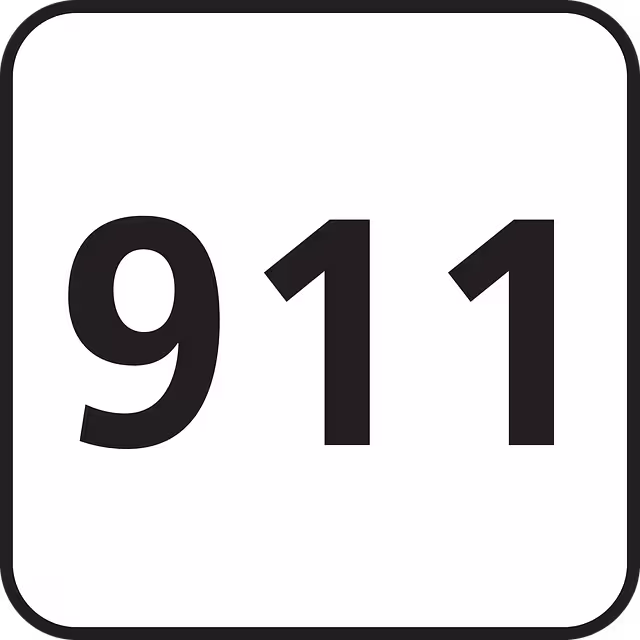 911 in black and white.