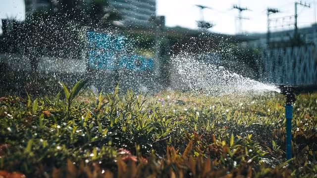 Irrigation in an urban area.